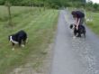 Abholung Hund 29.5.2009 (5).JPG
