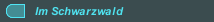 Im Schwarzwald